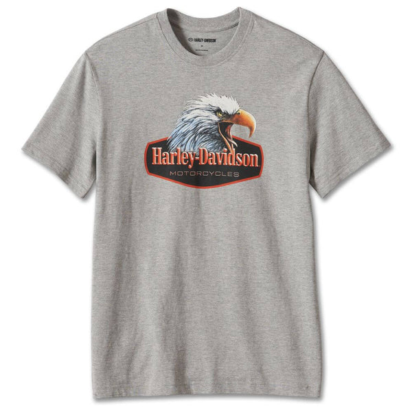 T-shirt Harley-Davidson Holoubek Williamsburg VA - Taille L Gris - Occasion Très Bon état